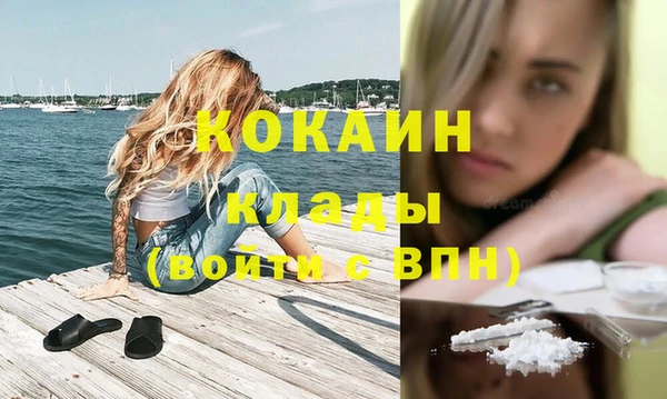 гидра Алексин