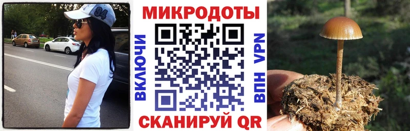 дарнет шоп hydra маркетплейс Галлюциногенные грибы Magic Shrooms Арзамас