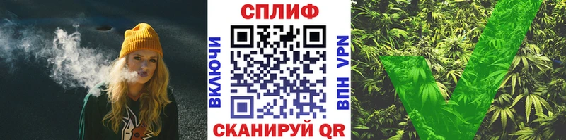 блэк спрут   Арзамас  Марихуана сатива 